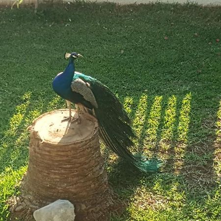 Villa Per Mare Loutra Oraias Elenis Esterno foto